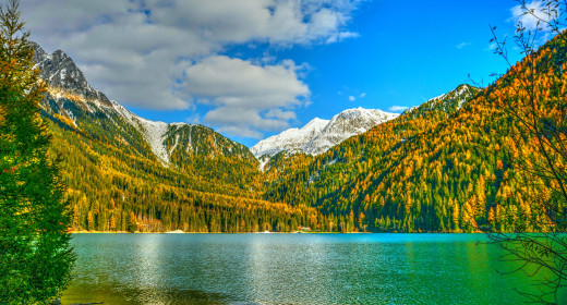 �1760119 �������(a): ����������:2560x1378